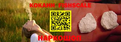 гашик Будённовск