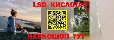гашик Будённовск