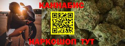 гашик Будённовск