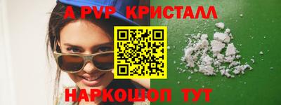 гашик Будённовск