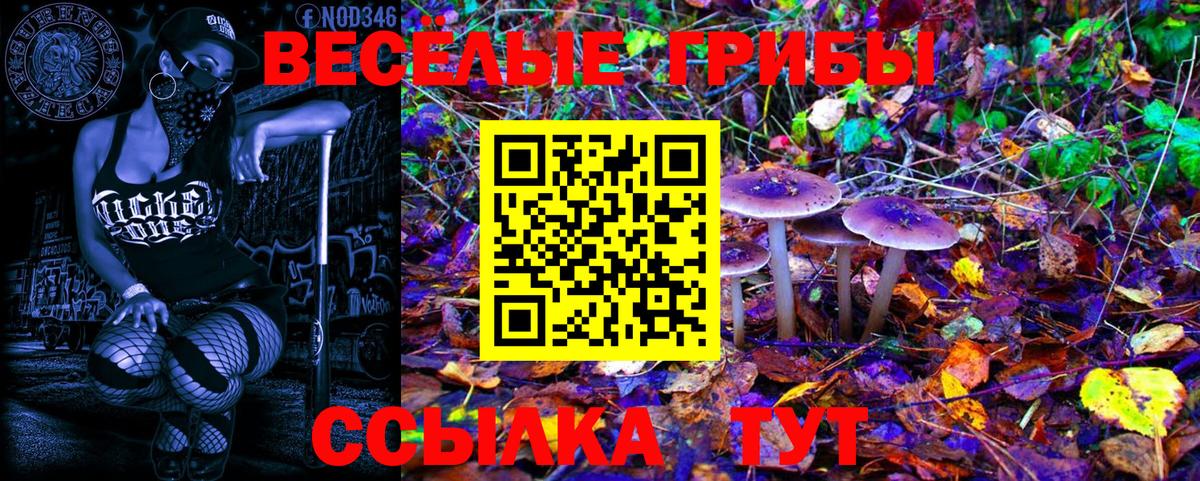 Коммунар  Галлюциногенные грибы Magic Shrooms  Псилоцибиновые грибы прущие грибы  Вход с VPN 